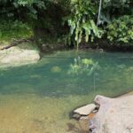 Organisers monitor Valencia River after Ganesh immersion ceremony