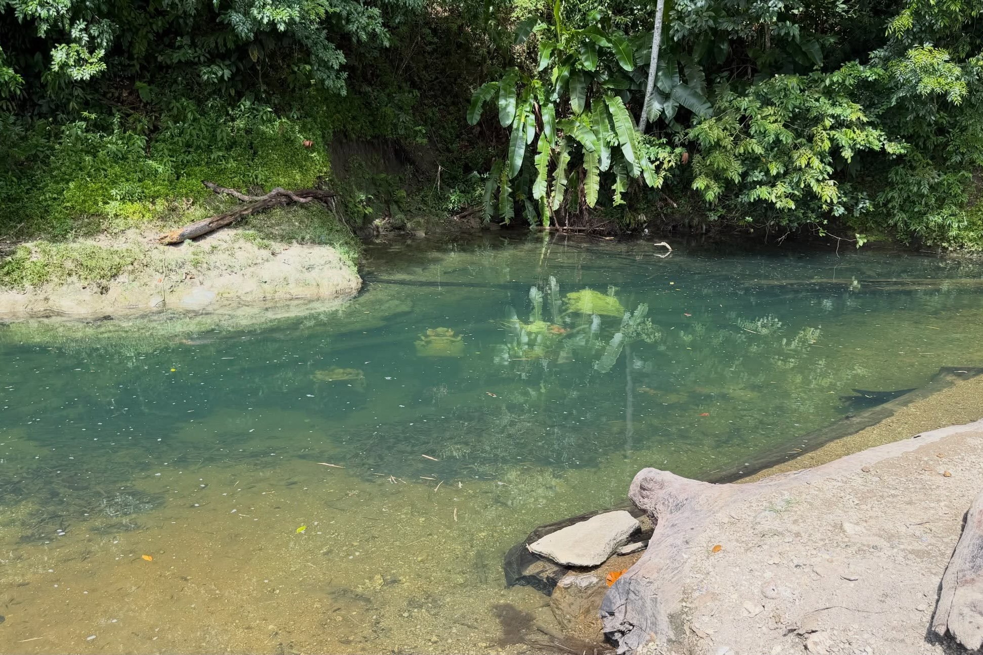 Murtis Valencia River