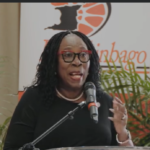 Pan Trinbago raises concerns over Special Ops Bill