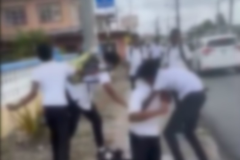 School fight