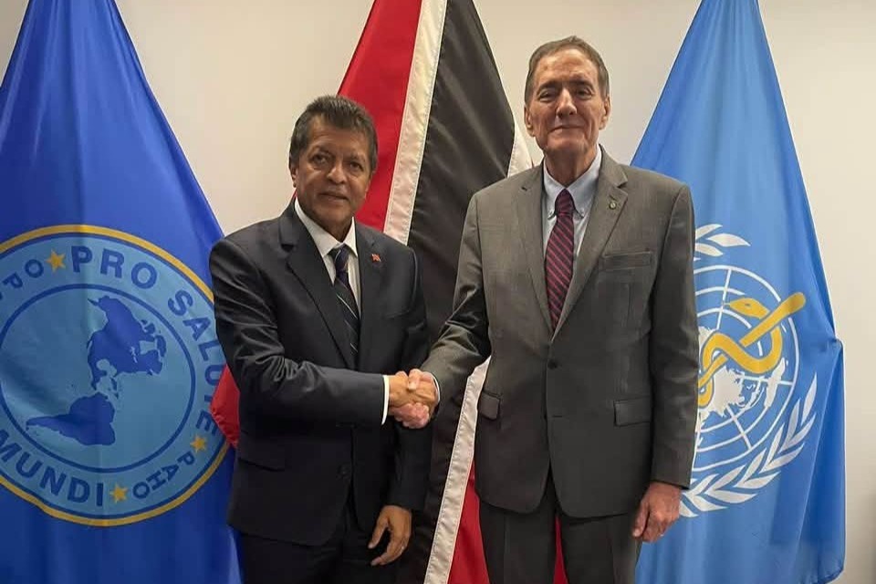 T&T PAHO